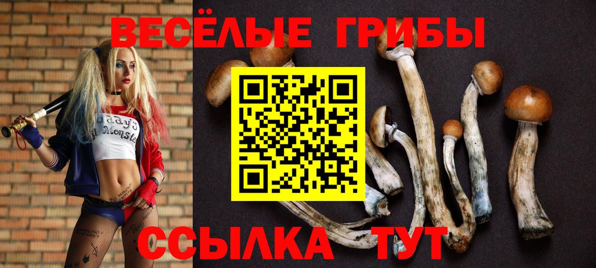 Бирск  Псилоцибиновые грибы Psilocybe  Вход с VPN 