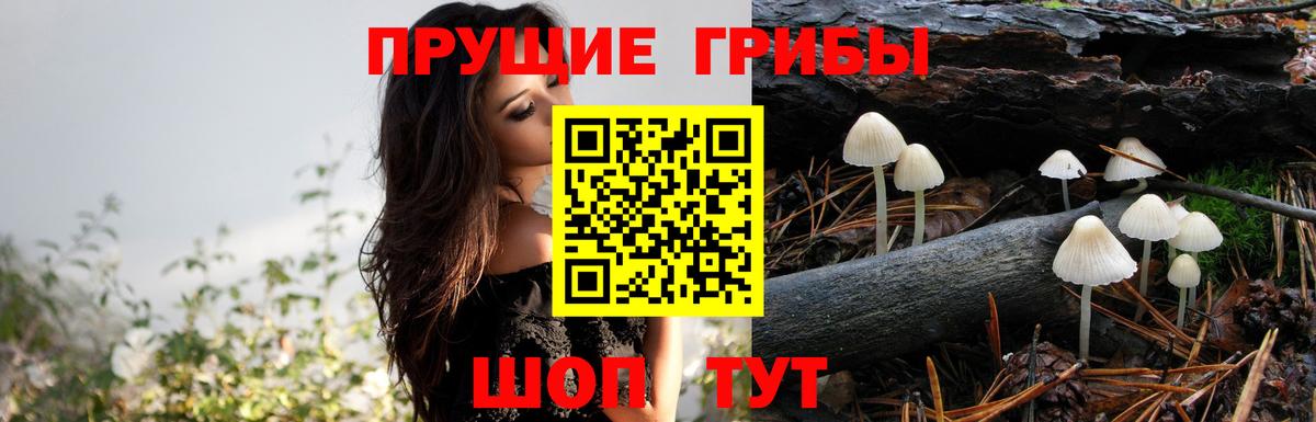 Галлюциногенные грибы мицелий Бирск